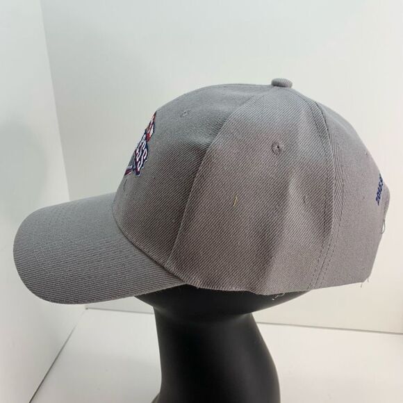 Round Rock Express Snapback Hat Adult gray Texas Minor League Baseball‎ Cap 2016 - Picture 4 of 6